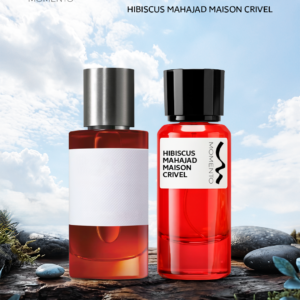 Hibiscus Mahajad ميزون كيرفلي